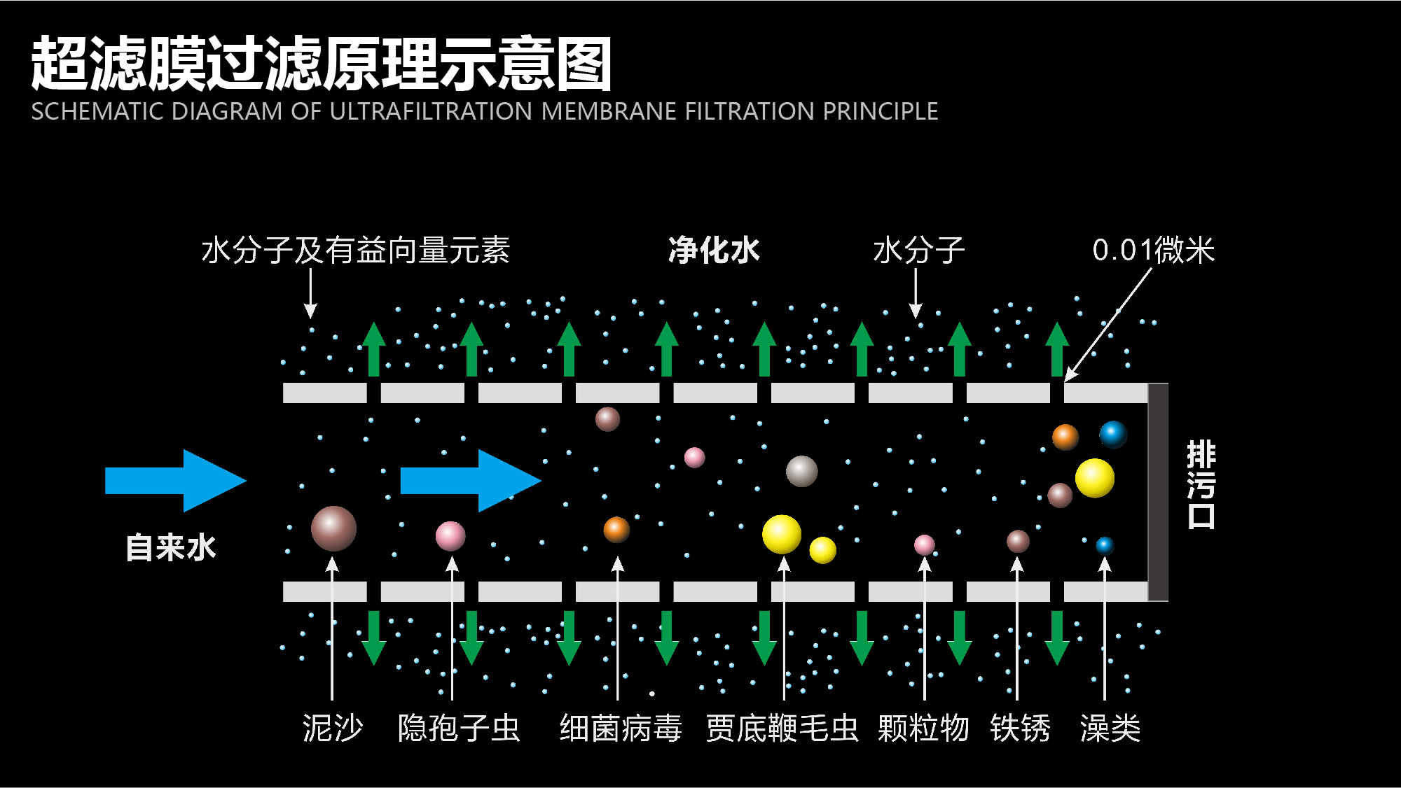 净水器加盟代理价格